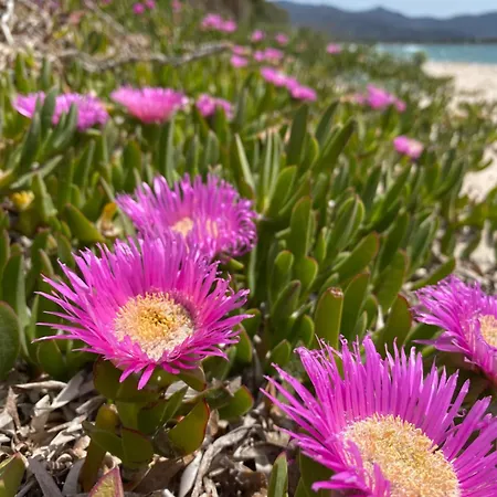 Dom wakacyjny Casetta Marina Capitana