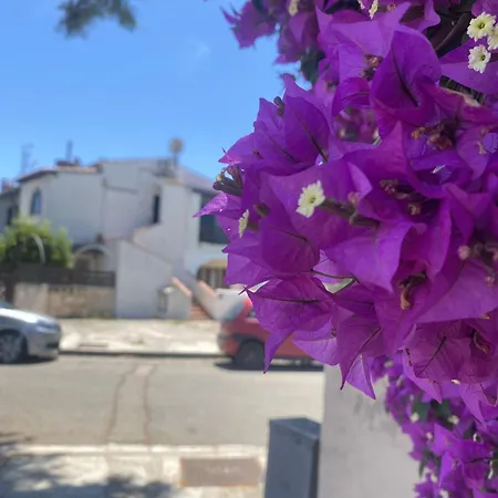 Dom wakacyjny Casetta Marina *