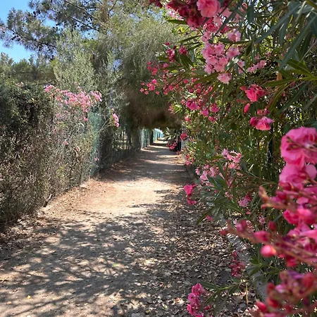 Casetta Marina Dom wakacyjny *