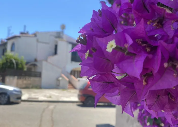 Tatil Evi Casetta Marina *